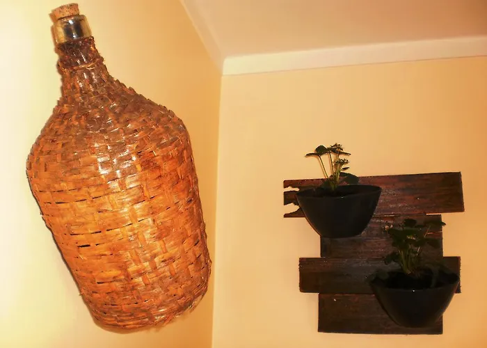 펜션 Swordfish Eco-house *