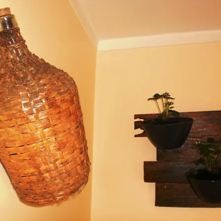 Hébergement de vacances Swordfish Eco-house *