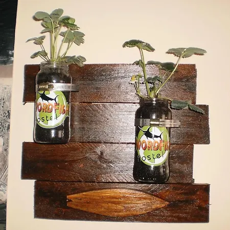 Hébergement de vacances Swordfish Eco-house